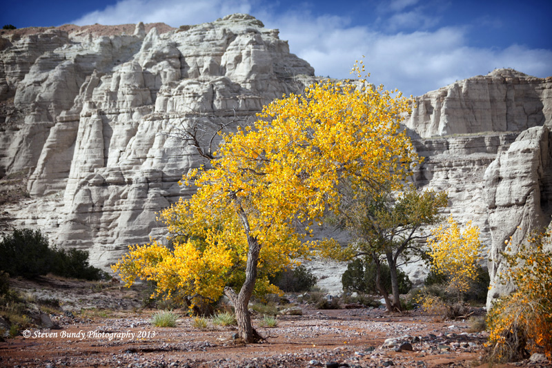 fall colors at plaza blanca