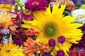 farmers market flowers