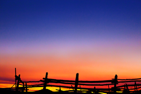fence post sunset