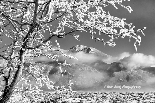icy view