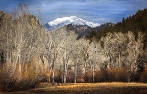 main lodge view