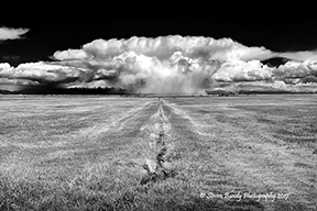 monte vista storm cell