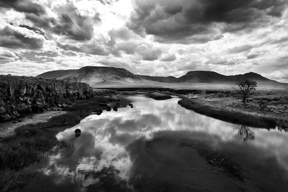 rio grande reflections