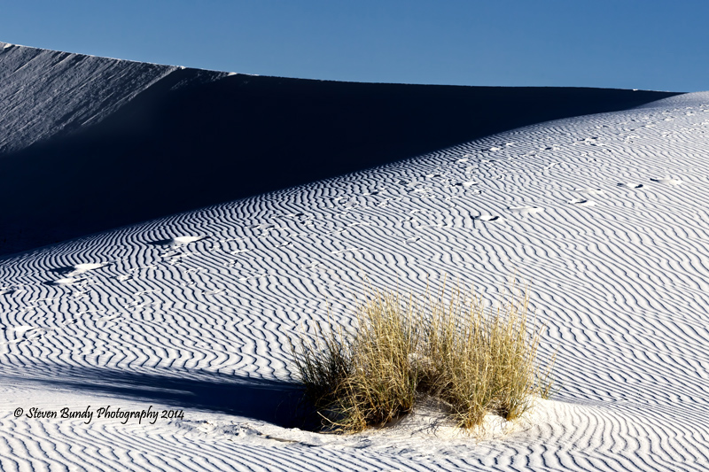 white sands